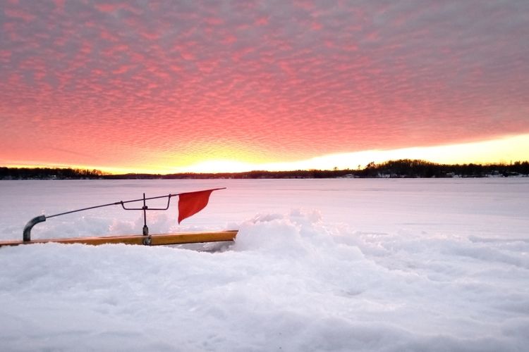 Monona, WI Homes for Sale and Realtors